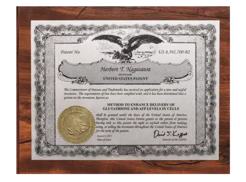 US Patent