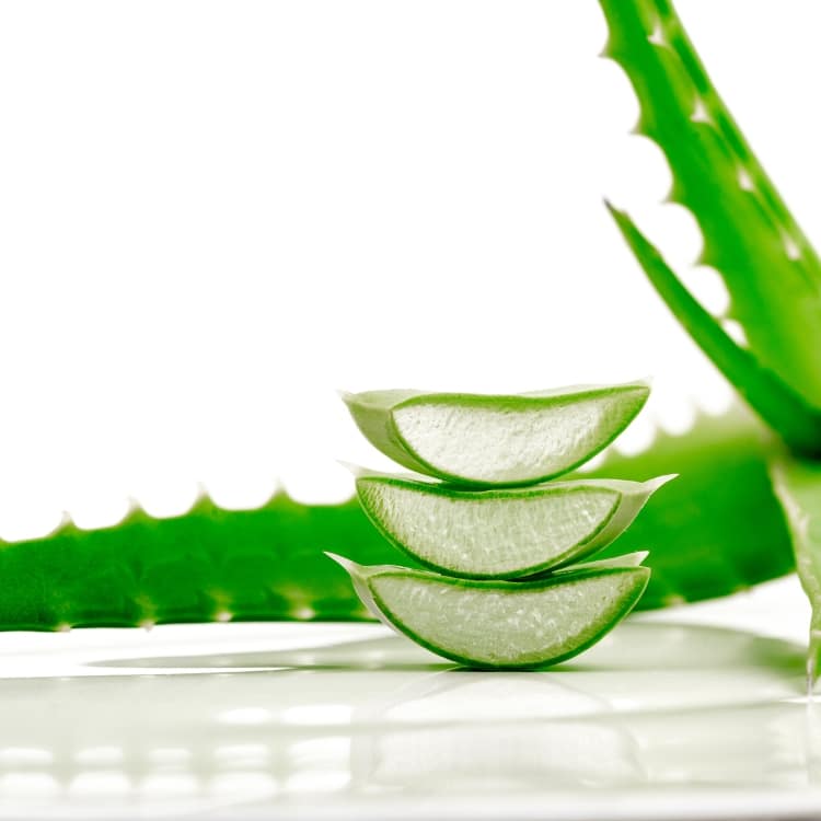 Aloe Extract